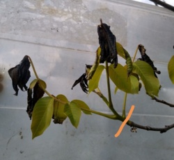 d62694cf-2c6f-4c08-8e46-b12664cc12f7