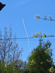 19b40fd1-6b1d-4906-867d-03311a12aa3a