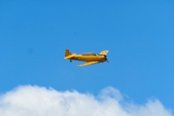 fd061a92-0a3f-484f-9655-acc40e89de7e