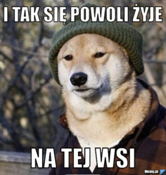 66a5d63b-e3f9-4cb0-acd1-b6925090796a
