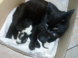 efad28c0-92b9-4da0-97ae-ebf5c54400c8