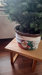 214ed50c-7675-427f-bb44-06036eb5cd4c