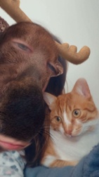 cb0ef563-9f2f-4bd0-b55d-4f2cce42a9ef