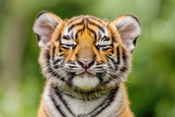 9a4dca26-7734-4fb1-ae60-568d325dc783