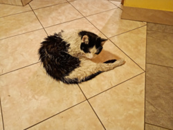 1c7f2086-2d0f-4e75-a8b2-2c21b8a6ce01