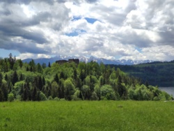 d822d246-52eb-44f5-be17-e26c1a34a5ac