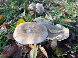 acf519af-bd8b-4219-8e36-a2b003512cc1