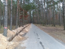 0fd1d944-12dc-4866-b674-9a18d26d64e7