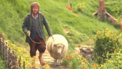 1b5811b1-f77a-4389-84a6-c7149ace6935