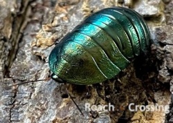 1791d97d-bb9c-4137-af79-5cd8223ce0c0