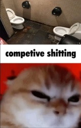 aae754f3-7e86-4d97-ba30-1a74736eef55