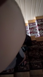 9e5127a9-48c4-495b-b058-f65497cf521f