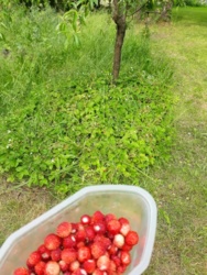 f9f5f91e-0476-47ee-8350-1ef302b6d9ae