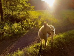 d60d8049-f7ea-4602-9142-02d14e5dbd5c