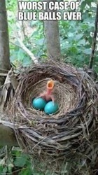 84a7df5c-4aee-4fd9-a23b-cb2aa93f7aa9