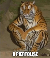 5ee17956-1e19-420d-9697-cac046c2a064