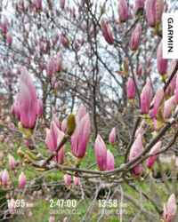 4864b921-36df-4e19-990a-ca156f7321c9