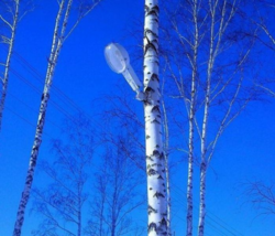 68bcecc9-be90-4c6d-9e43-55e03e37b31f