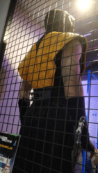 f5aed1d2-d3e9-42b6-adfd-ff3a7acd7214