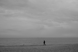 16859aba-a2d0-4e72-a0b7-845da099ce43