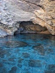 a2d1de67-b4da-45cb-917b-602ebbae1e0e