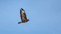 dfacec6f-fcf0-4256-80aa-77d95176ea18