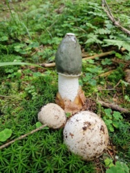 b498d0af-999f-4b35-a3ad-e4a14ba1d3b7