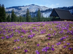1951bdfe-d6dc-49f9-bcbe-e06d6a11f24e