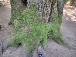 a2401066-0343-4730-8565-21a5e383f3c0