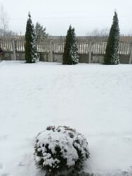 a2872b91-51df-4435-81c9-4223cbee7910