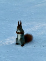 d66ccf98-7764-42f0-92c6-effaada7f746