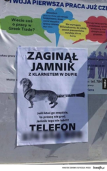 b3d2170e-4552-401a-ae06-af1bafd360b7