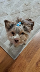 f788f891-c4a2-41f9-91a9-2f3bf1f11637