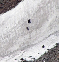 9d19a788-85e3-428d-b34e-ffbcec73cc39