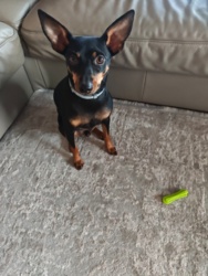 e09b241b-750c-4113-afdf-a3303b6dfdba