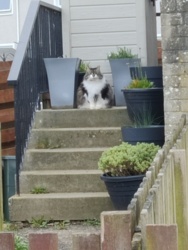 7fc0ea96-9ba7-4929-92b1-06ca527ebd66