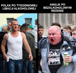 0f2855e1-b08e-4a17-adec-a00ddca19d4d