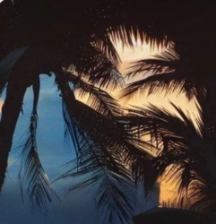 38f9d107-71fa-4241-b97c-a5c28d6a01d6