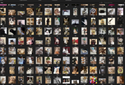 ecb54181-47a4-46f5-ab66-ef83bbcdaa2f