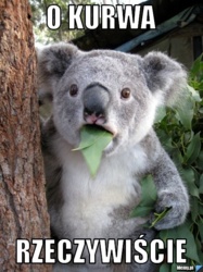 229e16d8-0982-4098-95ea-b0c7dcd04ceb