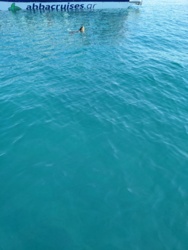 bff89eb4-c756-4a76-9990-dbe7cd38fb98