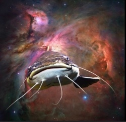 8c48035d-62eb-4eb6-afef-0509682ec07b