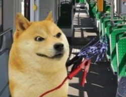 5cf48abd-7267-4596-8d64-54179edcb434