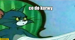 bb206a67-dce8-4977-80dc-6e499b05b8df