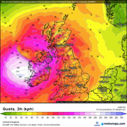 d41cc8b5-2ee1-45dd-a834-37a8ec517e3e