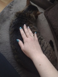 2fbdc795-8fa9-4d40-8d80-942e7c440eb9