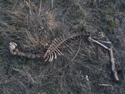 15c0187c-18e6-4849-840b-d3b946ed4cca