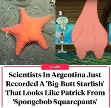 b531b4e4-70c7-4d8e-b3d0-fa954eaebe67