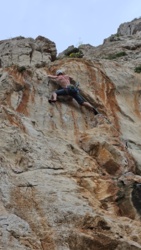 dceaf573-4f8f-4561-a819-df7177e386ca