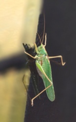 11f4f141-e041-43e7-b5c0-04bd9fff4c47